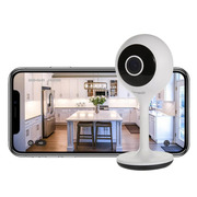 High quality Indoor Home Security Cameras 