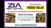  Paying Guest  |Get rid of Rodent | Rodent Treatment for Appartments |